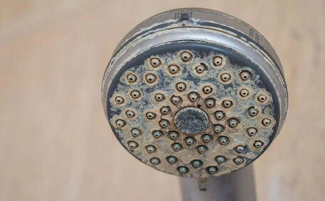 Dangers Blocked Drains